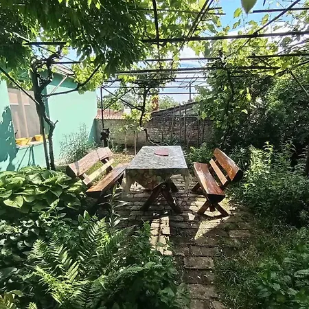 Apartment Beba